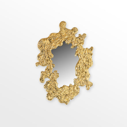 Amoeba Mirror